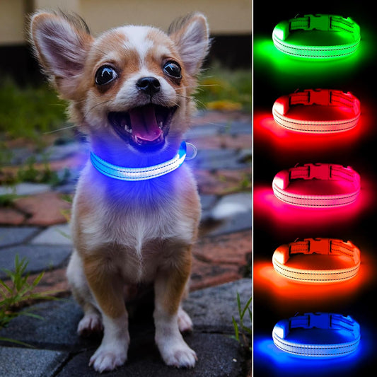 Rechargeable LED Dog Collar – Reflective Light-Up Safety Collar for Small Dogs & Cats