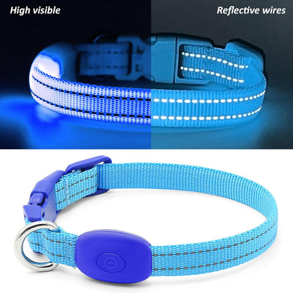 Rechargeable LED Dog Collar – Reflective Light-Up Safety Collar for Small Dogs & Cats
